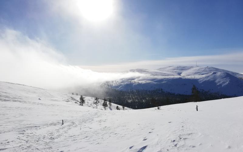 Ylläs
